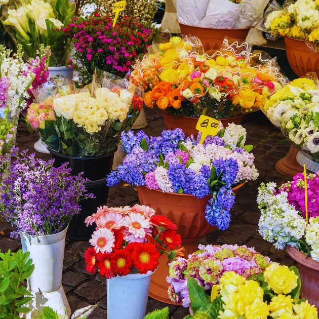 fruit Retail consulting